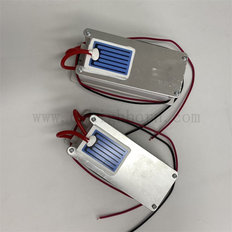 220 V 1 g/h arkusz ceramiczny moduł generatora ozonowy KIT OLES