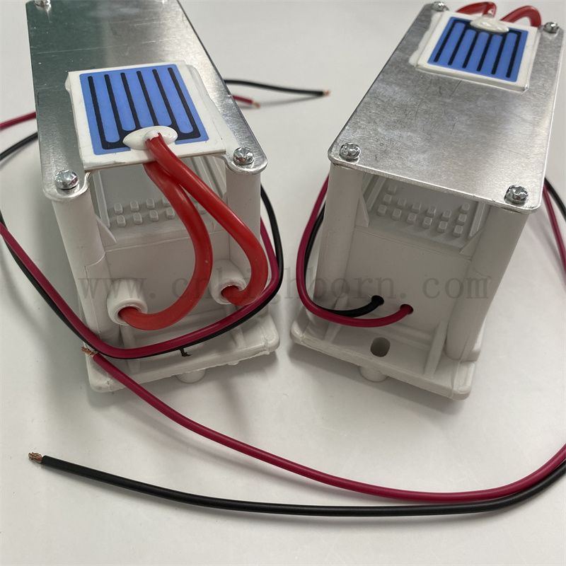 220 V 1 g/h arkusz ceramiczny moduł generatora ozonowy KIT OLES