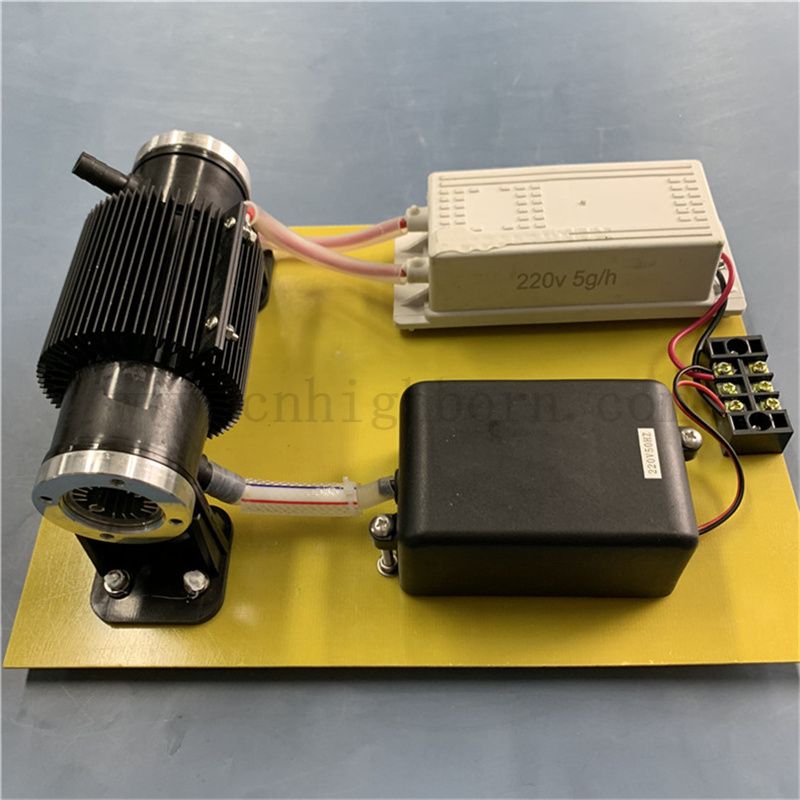 110 V 10 g/H generator dezynfekcji ozonowej maszyna sterylizacyjna O3 do obróbki wody