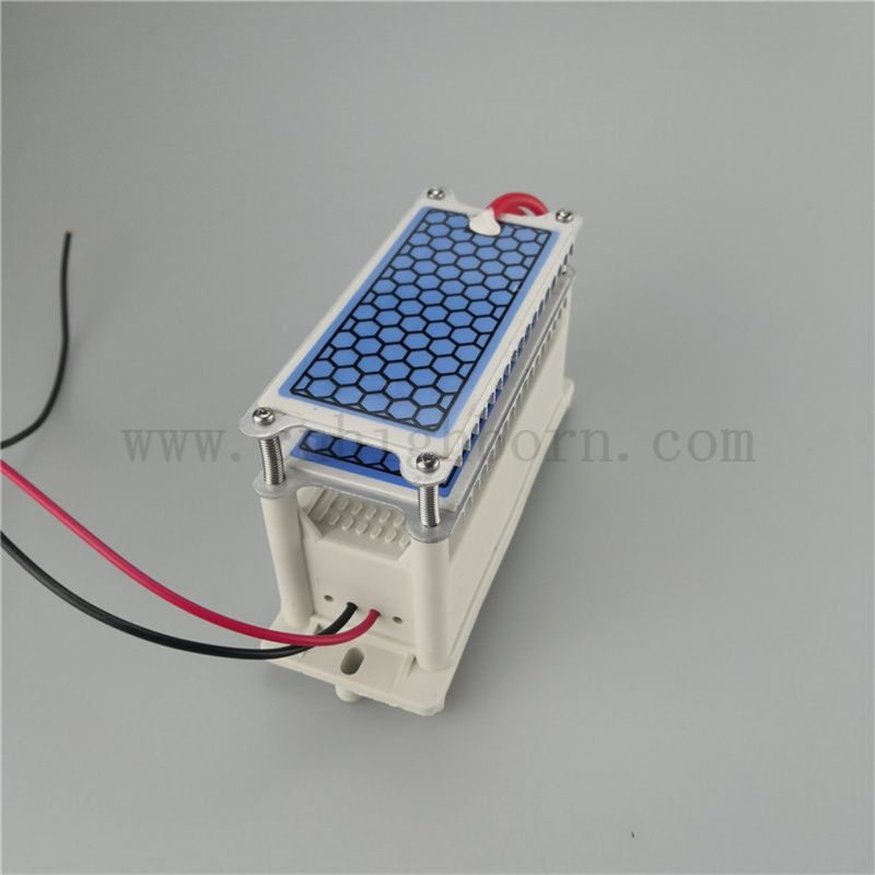 Szybkie rozpraszanie ciepła arkusz ceramiczny moduł generatora ozonu 220V 10 g/h ozonizer