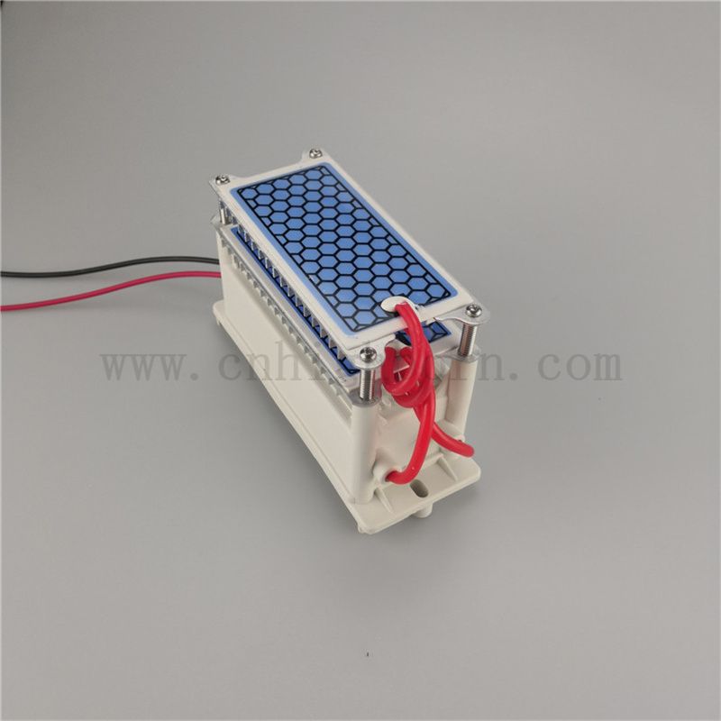 Szybkie rozpraszanie ciepła arkusz ceramiczny moduł generatora ozonu 220V 10 g/h ozonizer