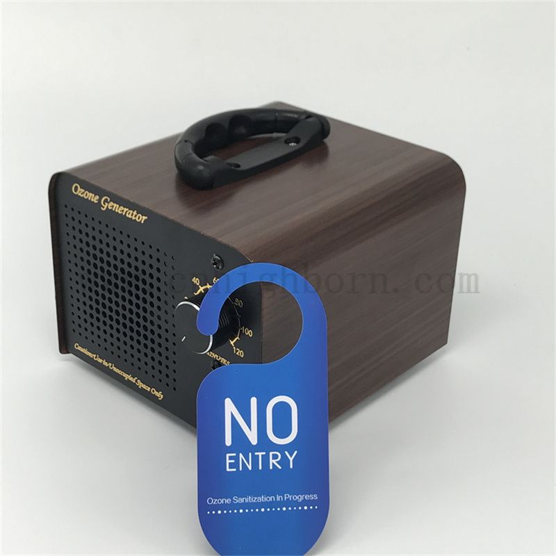 Przenośny sterylizator ozonowy z rurką kwarcową o wydajności 60 g/H. Przenośny dezynfektor ozonu do użytku domowego