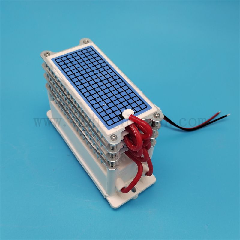 Maszyna ozonowa części zamienne 220V 40 g/h 60G/H Ceramiczna płytka ceramiczna moduł generatora modułu powietrza