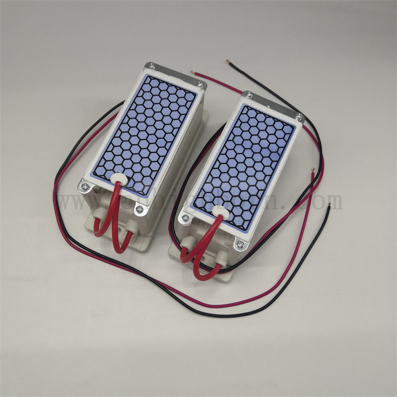 220 V 5 g/h moduł generatora ozonowego oczyszczania powietrza