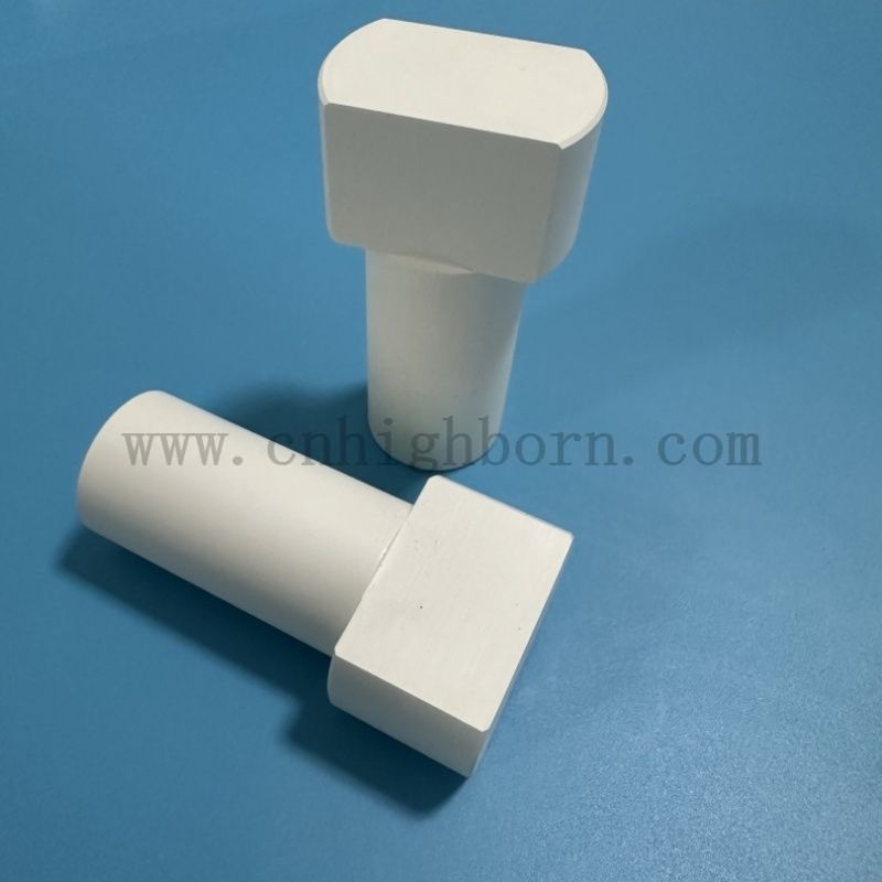 Fabryka Bezpośrednie zasilanie azotek azotek ceramiczny wałek akcesorium bn ceramiczna śruba elektrody elektrody