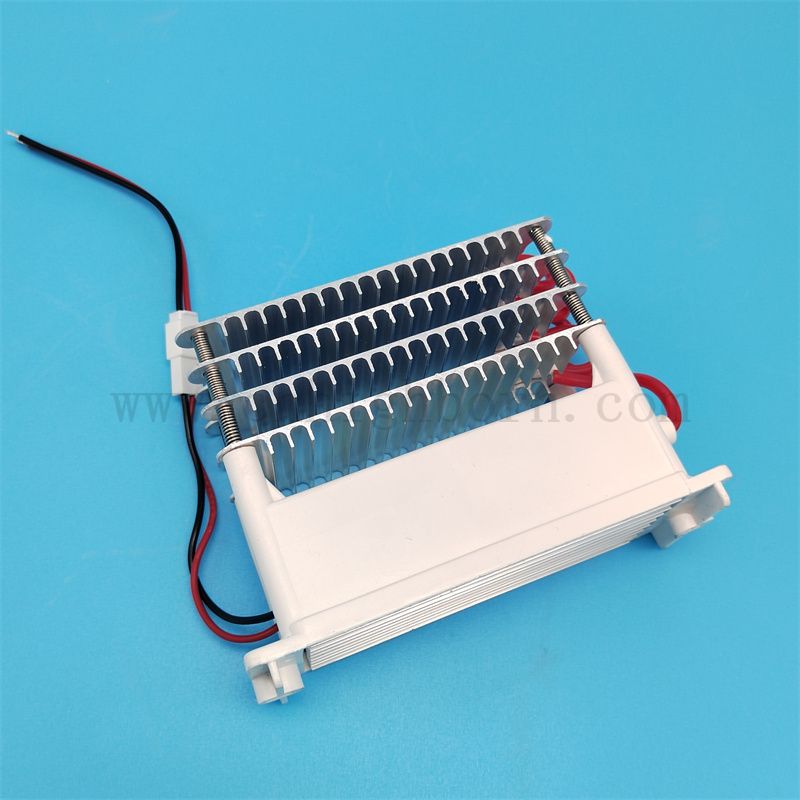 Maszyna ozonowa części zamienne 220V 40 g/h 60G/H Ceramiczna płytka ceramiczna moduł generatora modułu powietrza