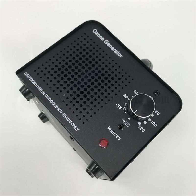 Wymienna płyta ceramiczna Ozone Dinexection Generator Maszyna 110 V 10 000 mg/h chłodzone powietrzem sterylizator ozonowy