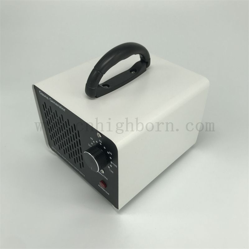 Przenośny sterylizator ozonowy 110 V 10G 20G 28G Oczyszczanie powietrza generator dezynfekcji ozonowej maszyna Ozonizer