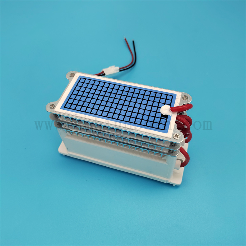 Niskie zużycie energii 220 V 30 g/h przenośna płytka ceramiczna moduł generatora ozonu 
