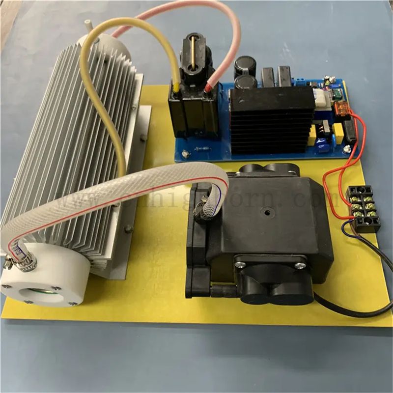 Moduł wielofunkcyjny moduł sterylizacji generatora ozonu 220 V 20 g do oczyszczania wody 