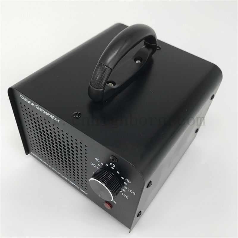 Wymienna płyta ceramiczna Ozone Dinexection Generator Maszyna 110 V 10 000 mg/h chłodzone powietrzem sterylizator ozonowy