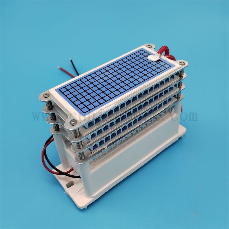 Maszyna ozonowa części zamienne 220V 40 g/h 60G/H Ceramiczna płytka ceramiczna moduł generatora modułu powietrza