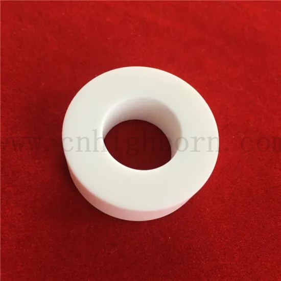 Niemagnetyczny Macor Machinable Glass Ceramic Pierścień