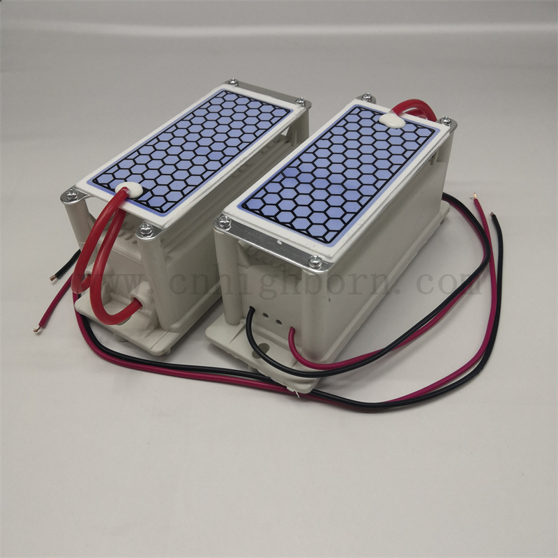 220 V 5 g/h moduł generatora ozonowego oczyszczania powietrza