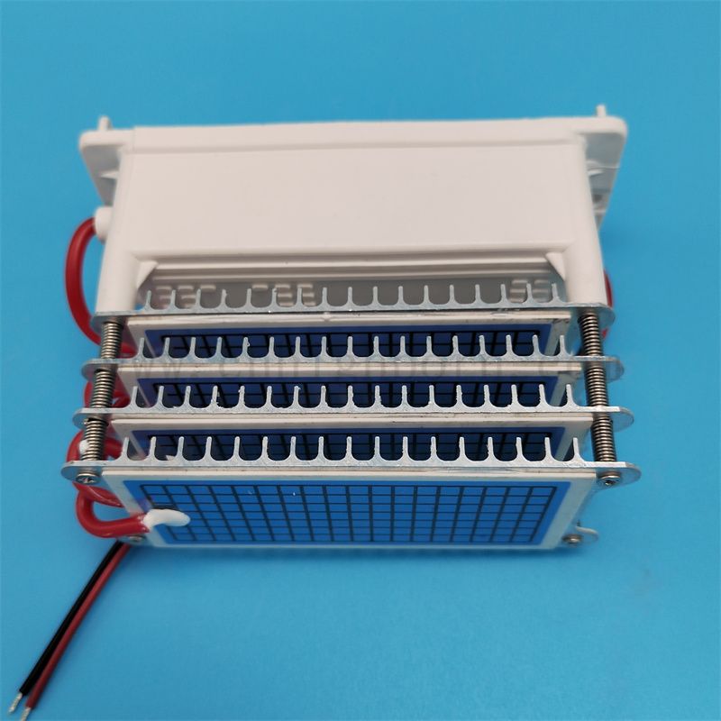 Maszyna ozonowa części zamienne 220V 40 g/h 60G/H Ceramiczna płytka ceramiczna moduł generatora modułu powietrza