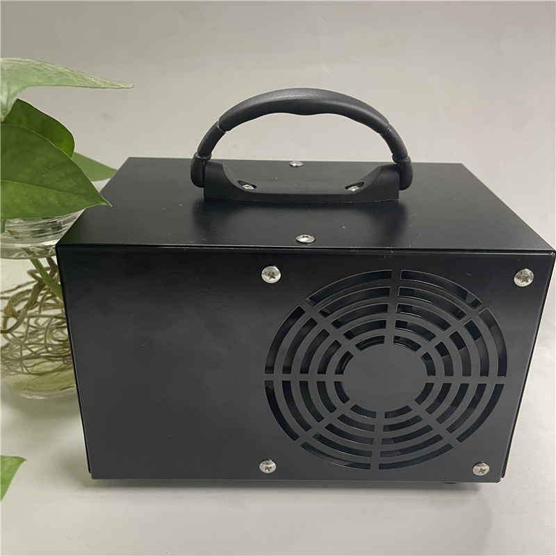 Air Purifie Maszyna ozonowa
