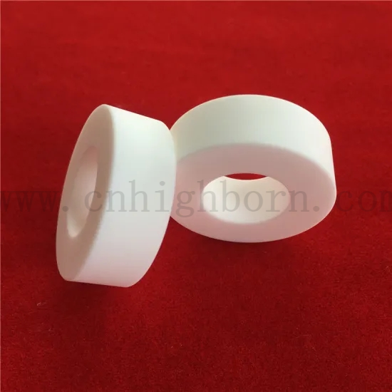 Niemagnetyczny Macor Machinable Glass Ceramic Pierścień
