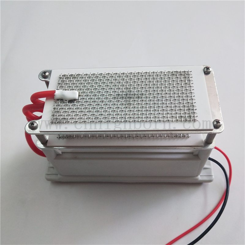 220 V 10 g/h metalowa siatka ceramiczna generator ozonowy moduł Ozonizer