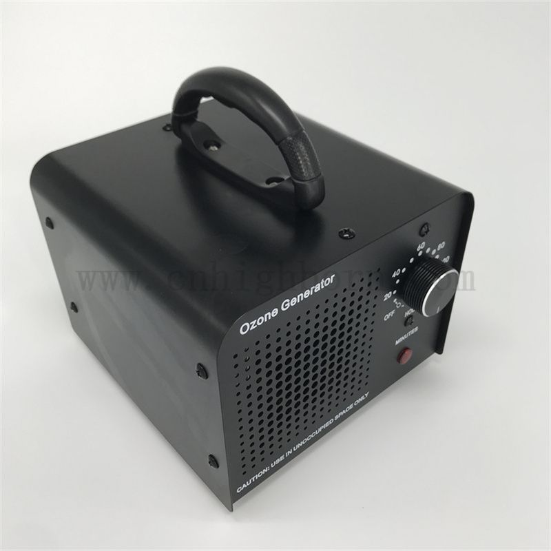 Wymienna płyta ceramiczna Ozone Dinexection Generator Maszyna 110 V 10 000 mg/h chłodzone powietrzem sterylizator ozonowy