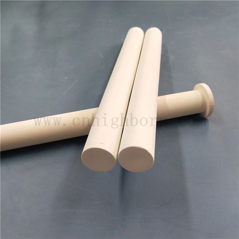 Samoabsorbent woda porowata aluminiowa ceramiczna ceramiczna wodna kolca do hodowli kwiatów i trawy